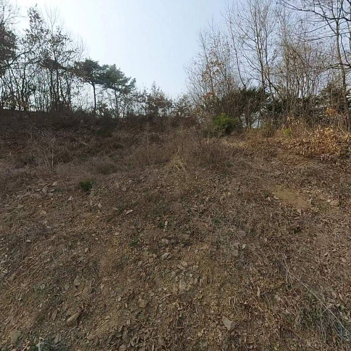 서울판지_3