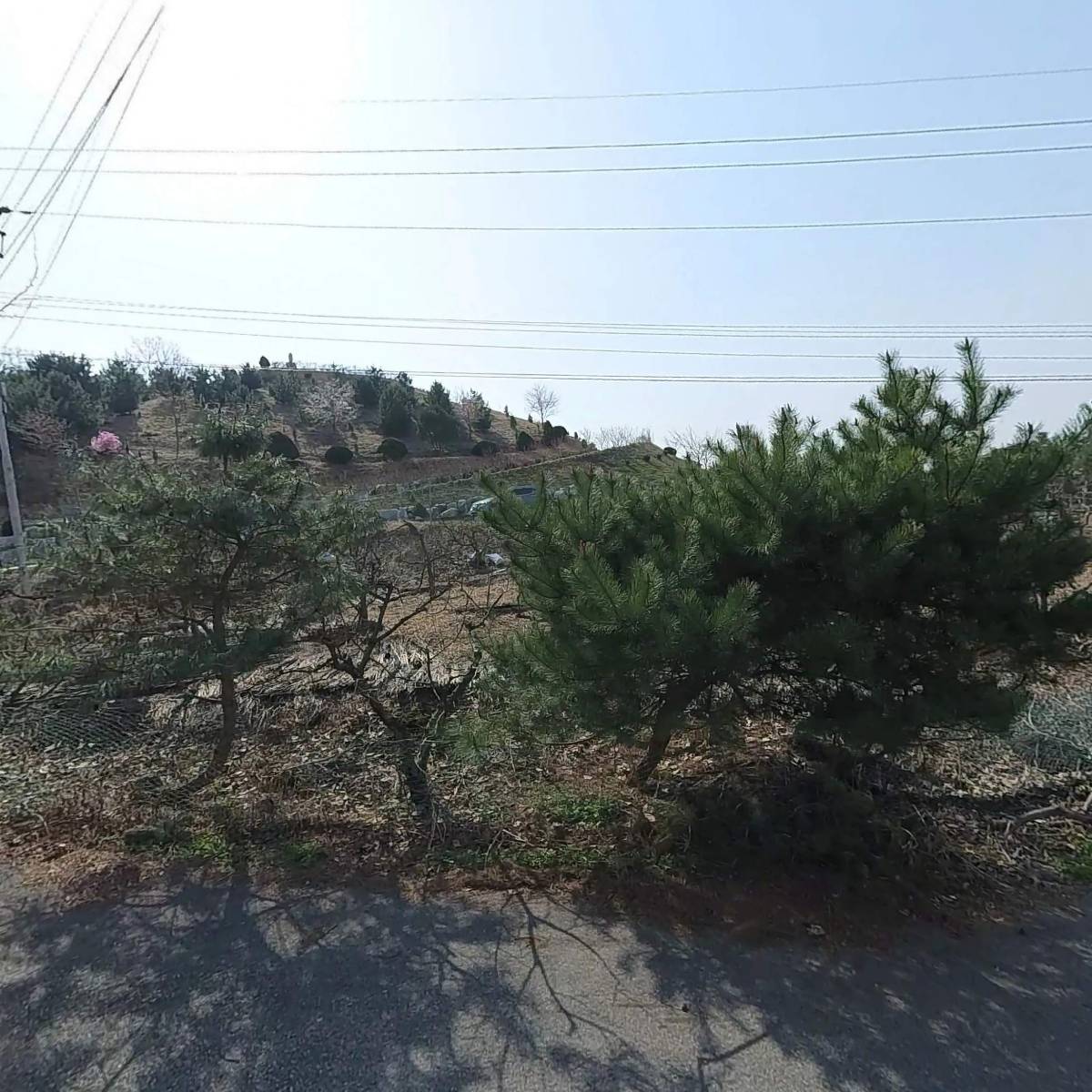 (자)농업회사법인 다산