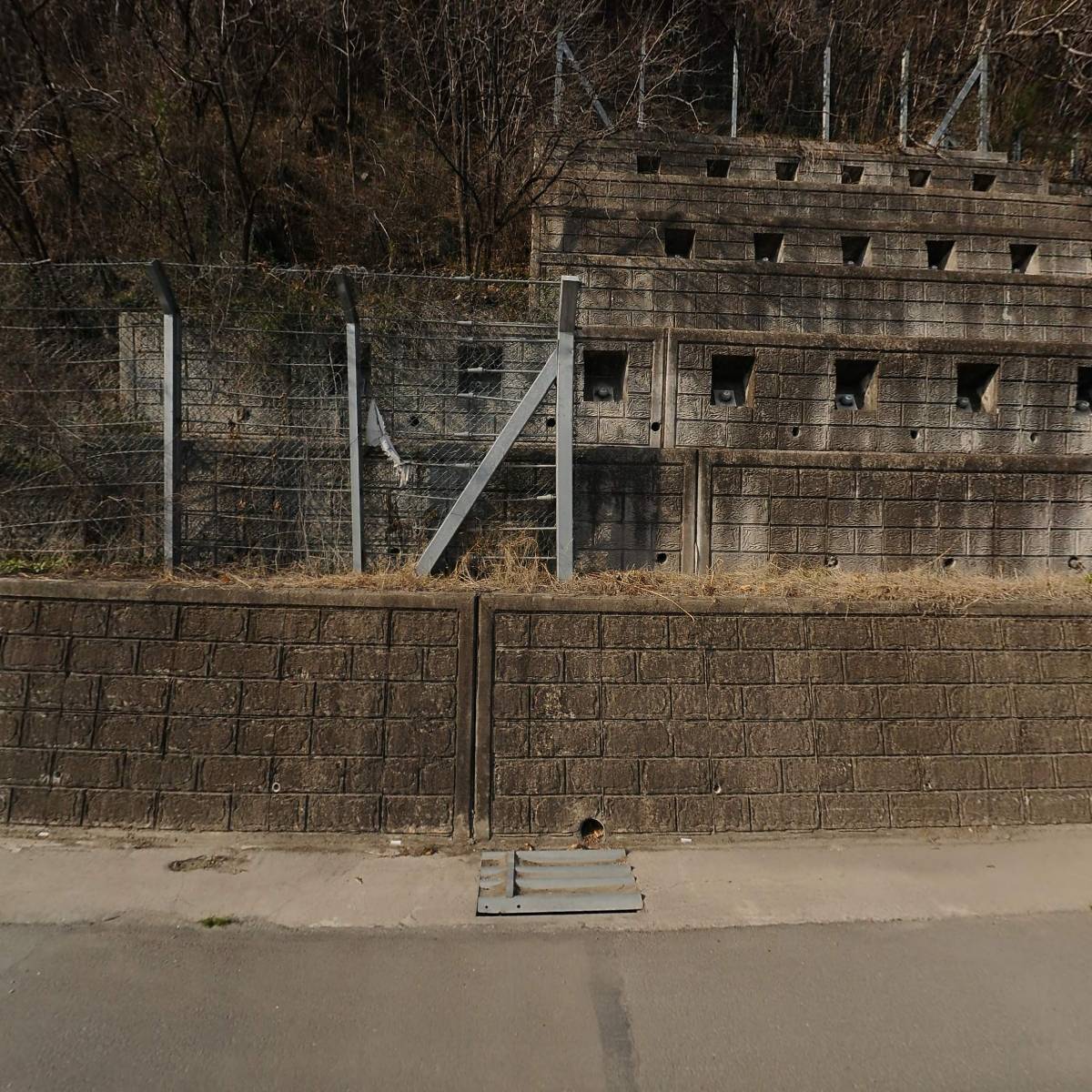 진성수지