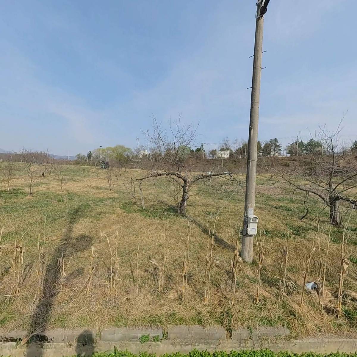 주식회사 푸른숲조경