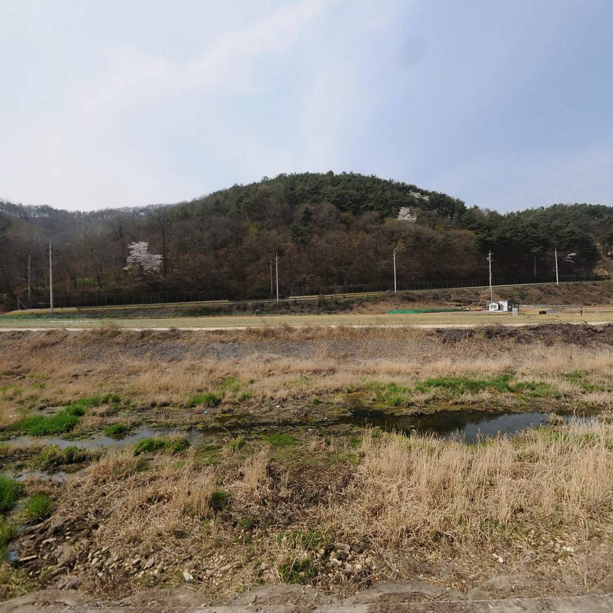 일월운수（주）고령지점_3