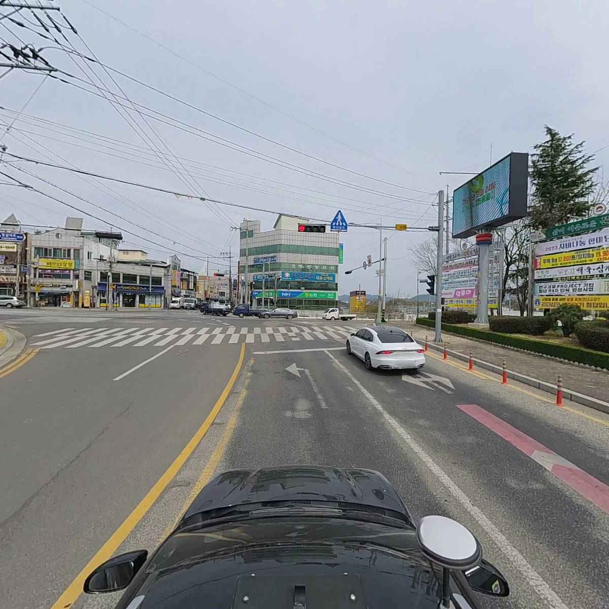 훈동물병원_4