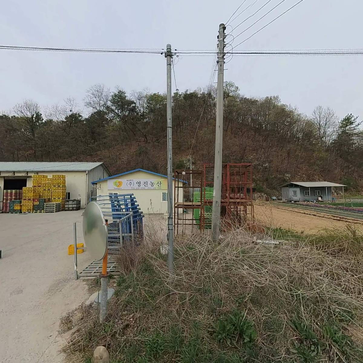 농업회사법인(주)영진농산
