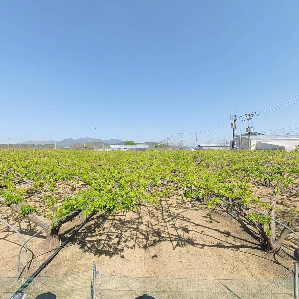 선산씽크
