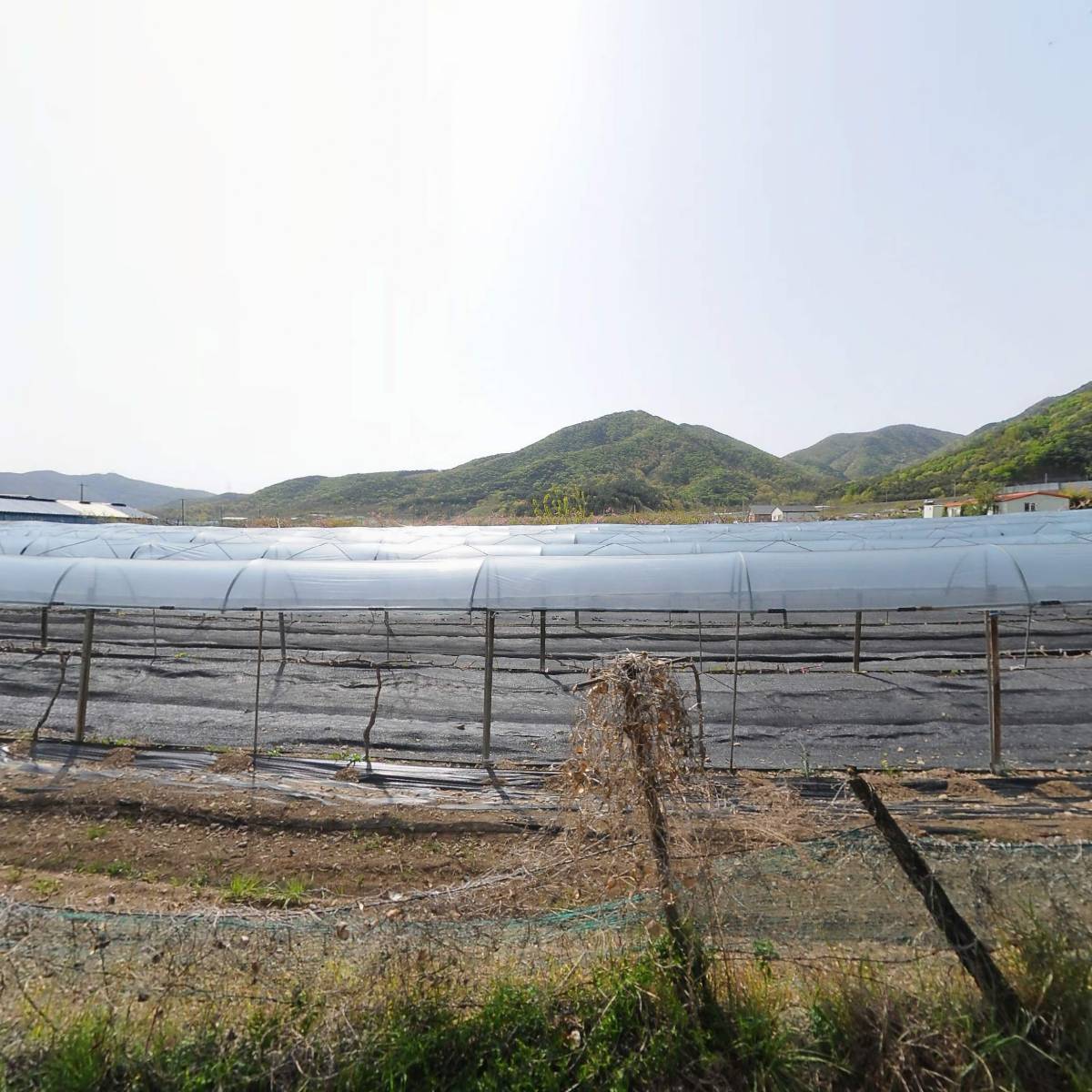 주식회사 신동에프앤씨
