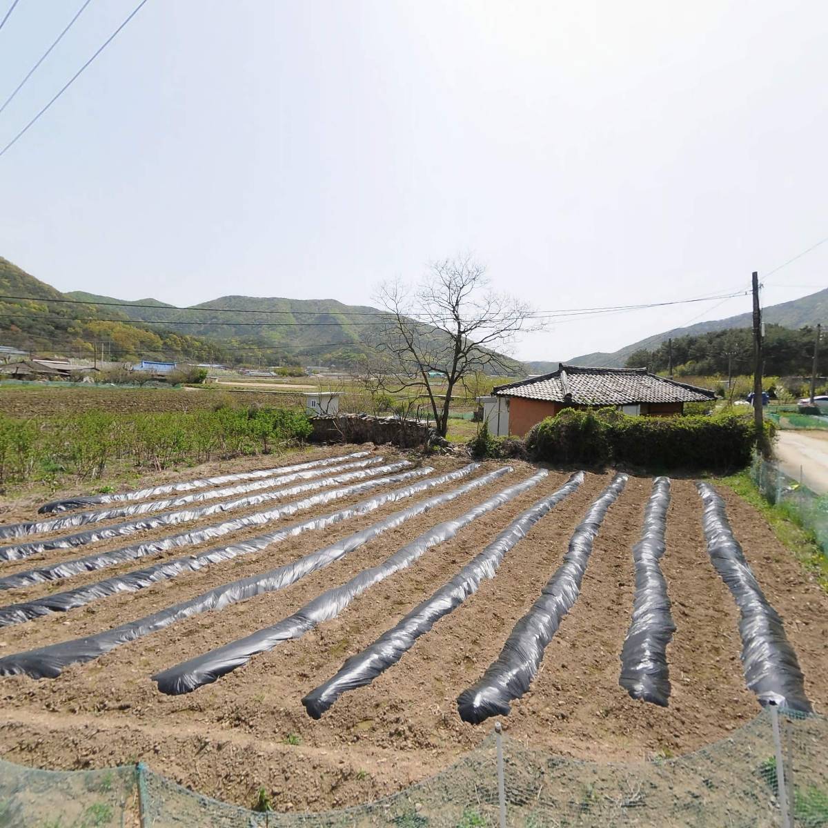 （주）프레스티지라인