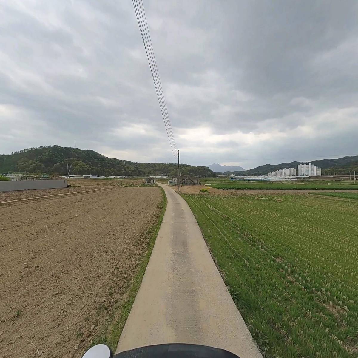 대한 한돈 협회 구미지부_2