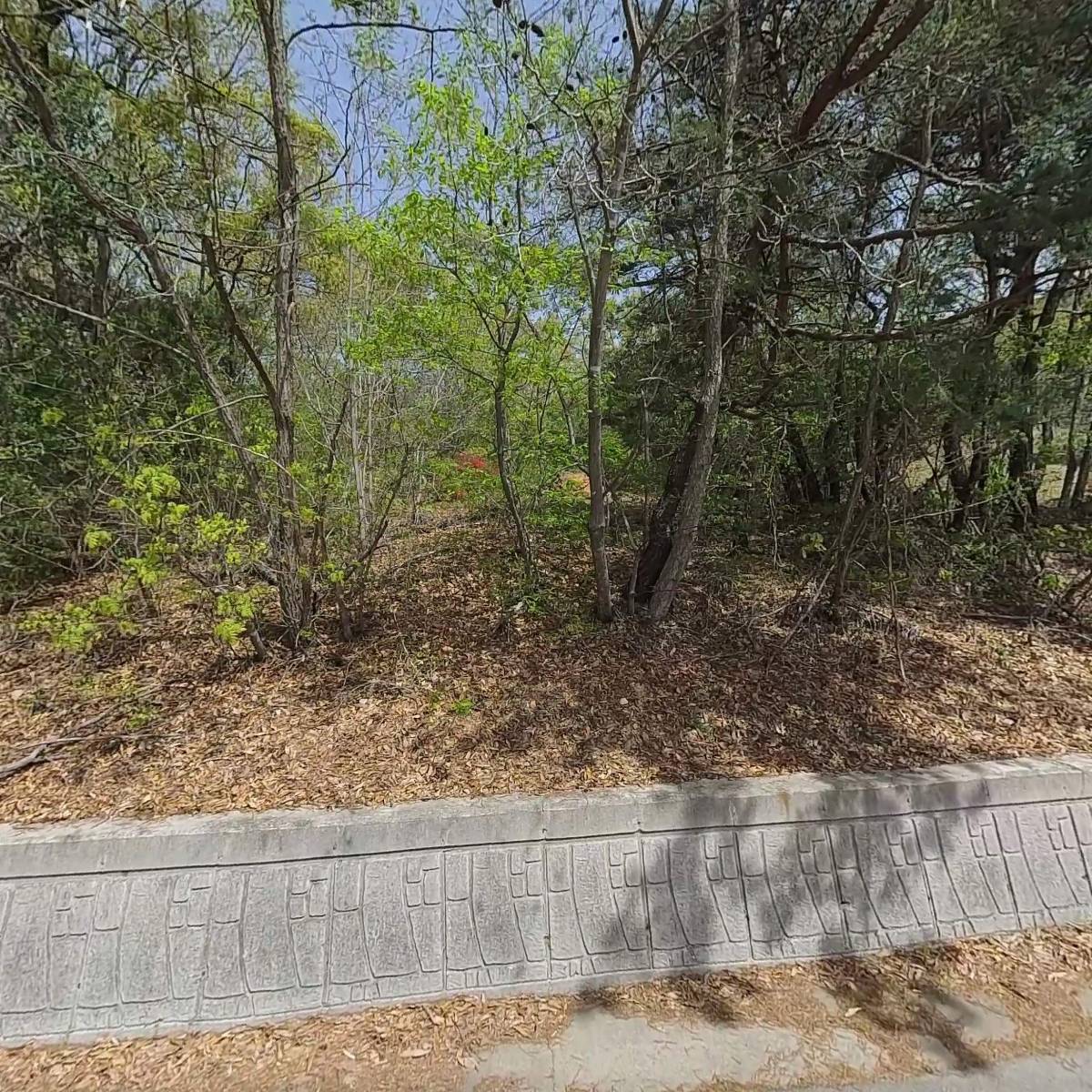 선산산업(주) 선산주유소 상지점_3