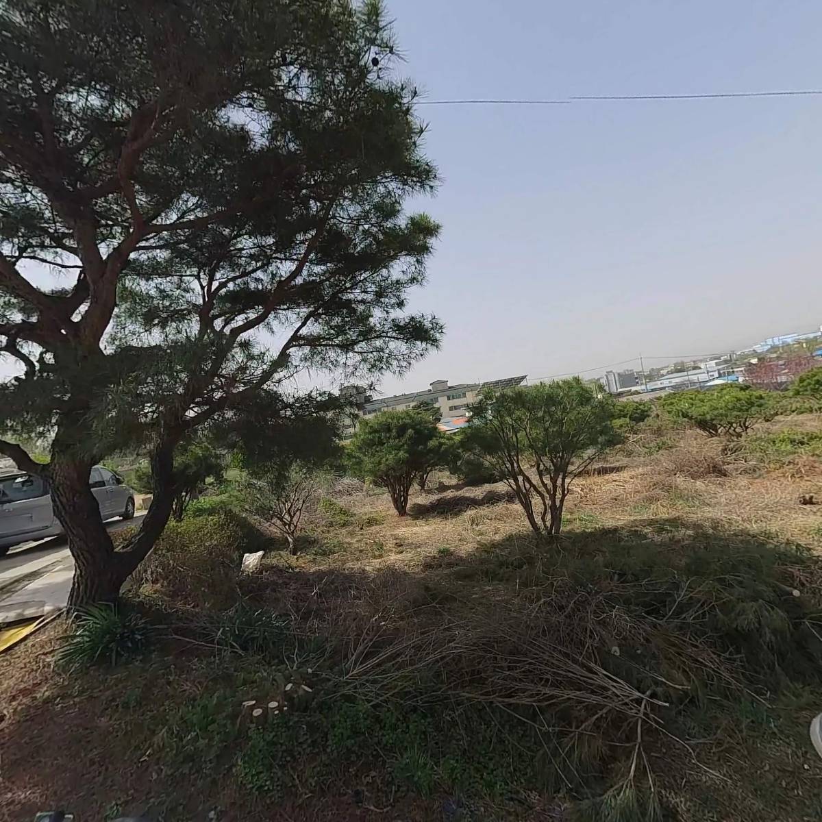 대한예수교장로회대광교회