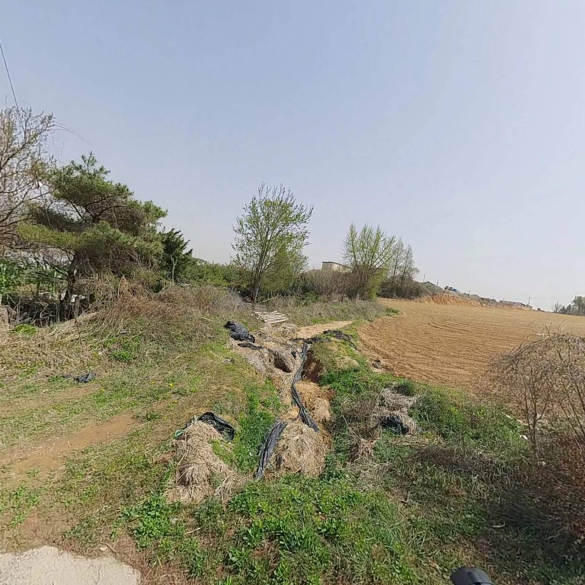 대한예수교장로회대광교회_3