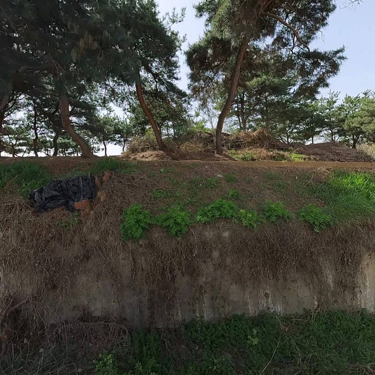 비알코리아(주)_3