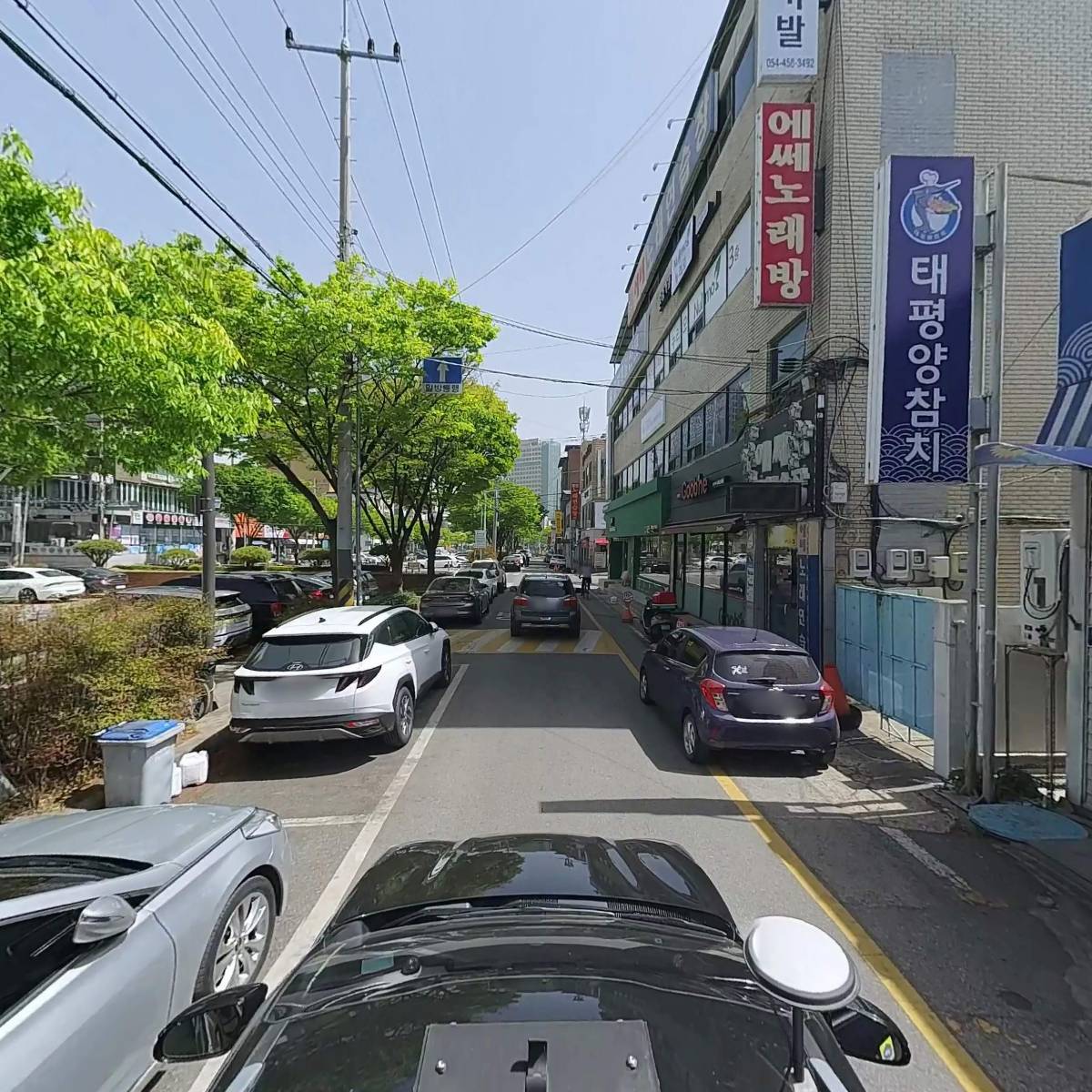 태평양참치_4