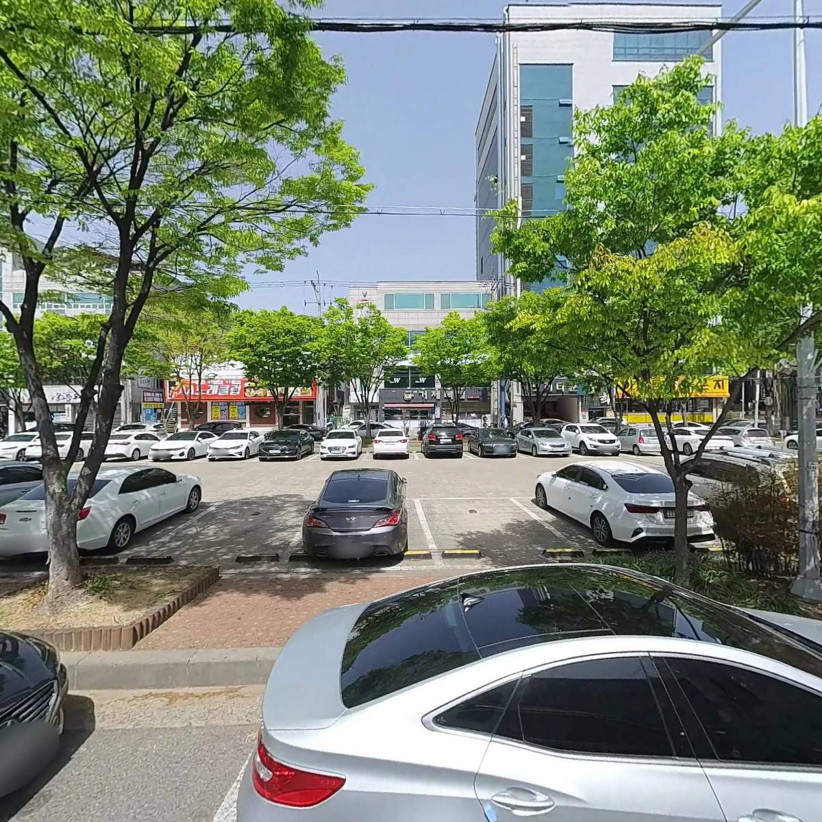 태평양참치_3