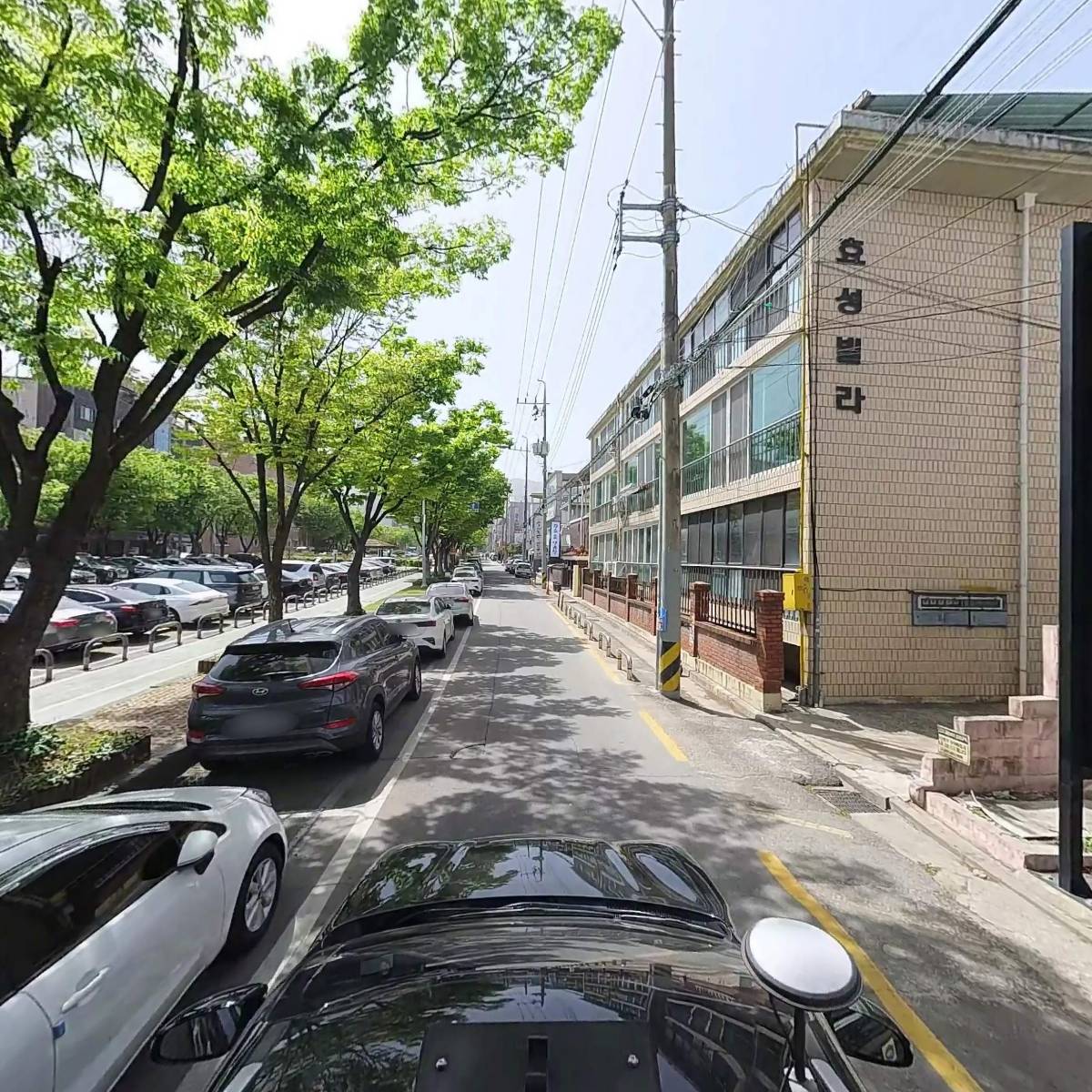 진참치송정점_4