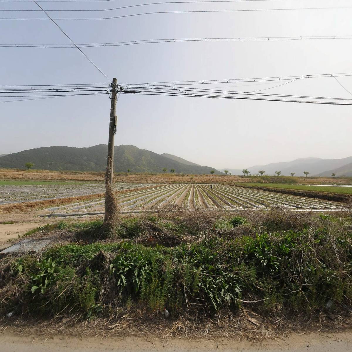 대동산업기계