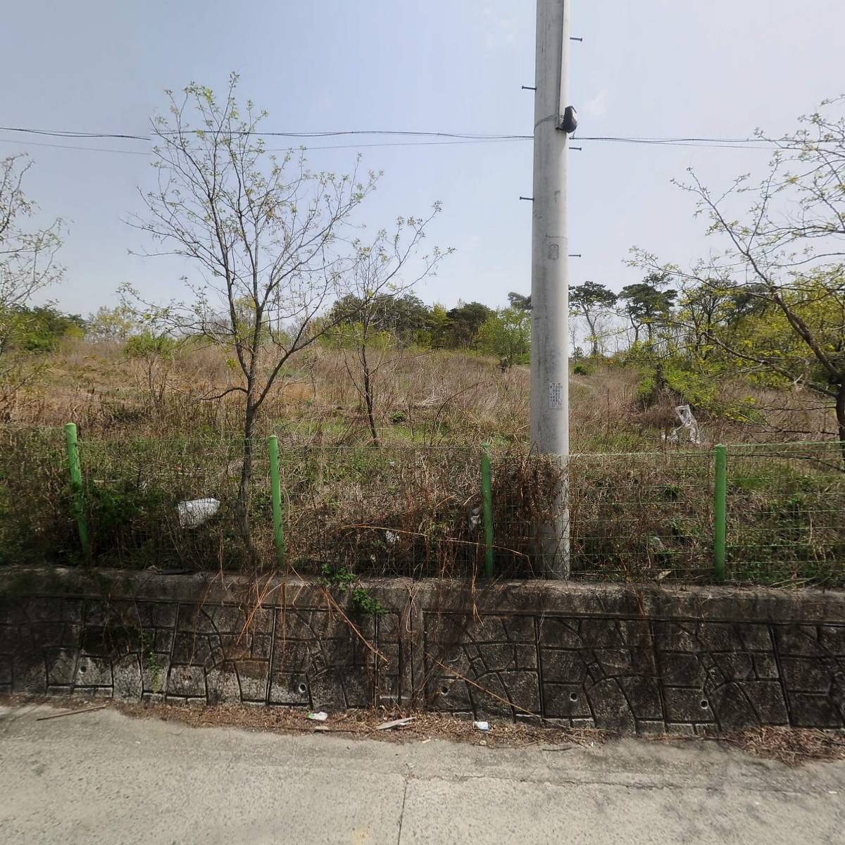 영성 PLT_3