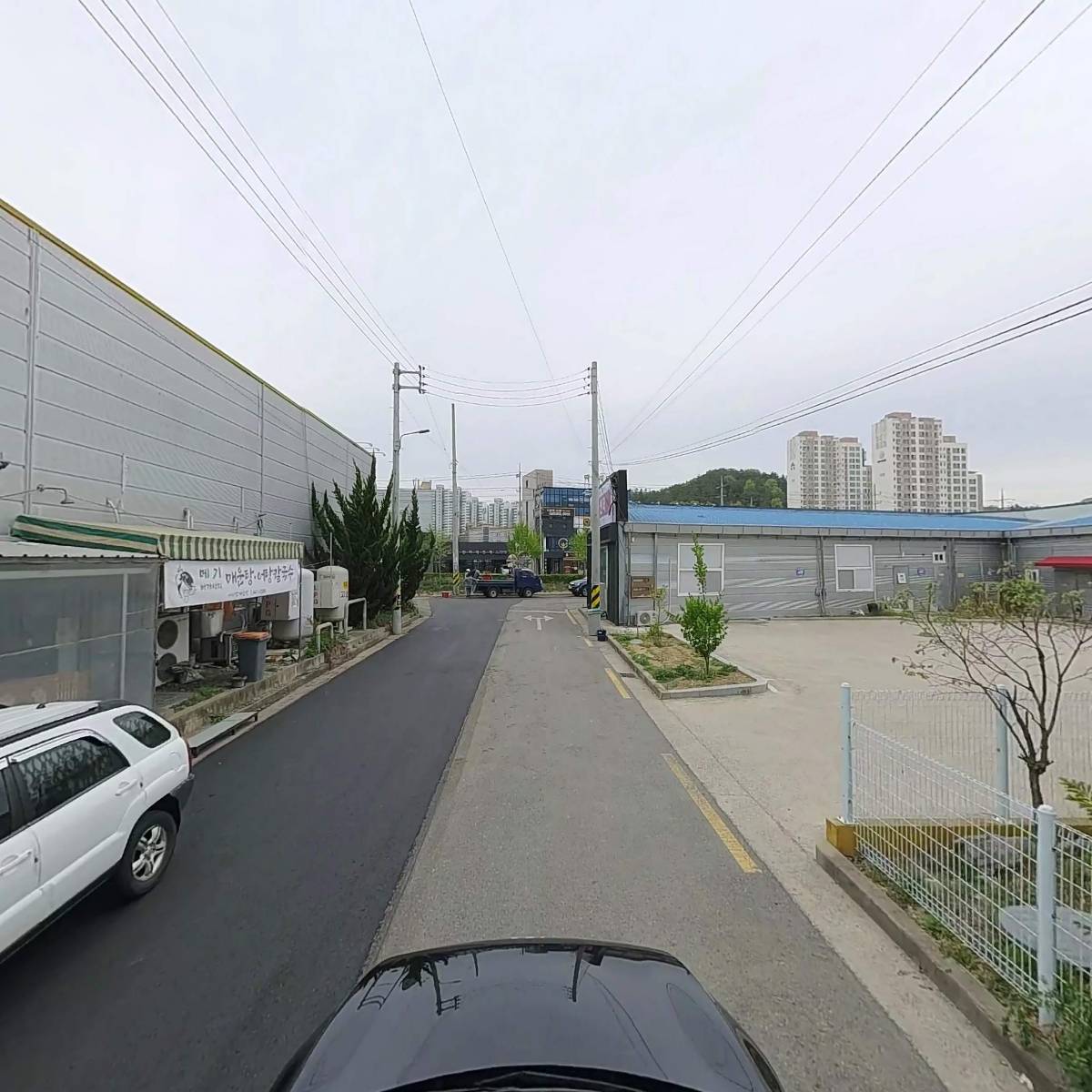 섹시한돼지_4