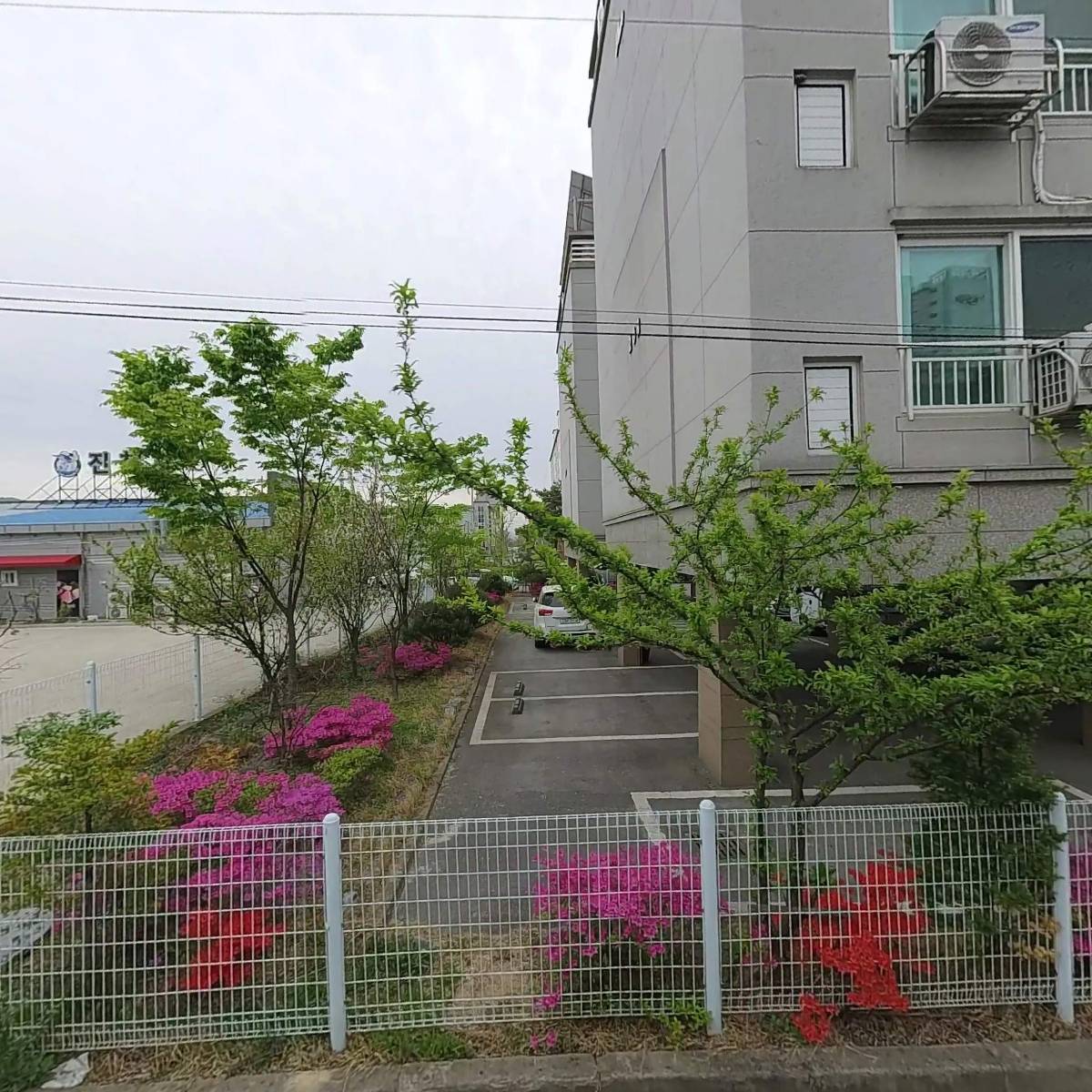 섹시한돼지