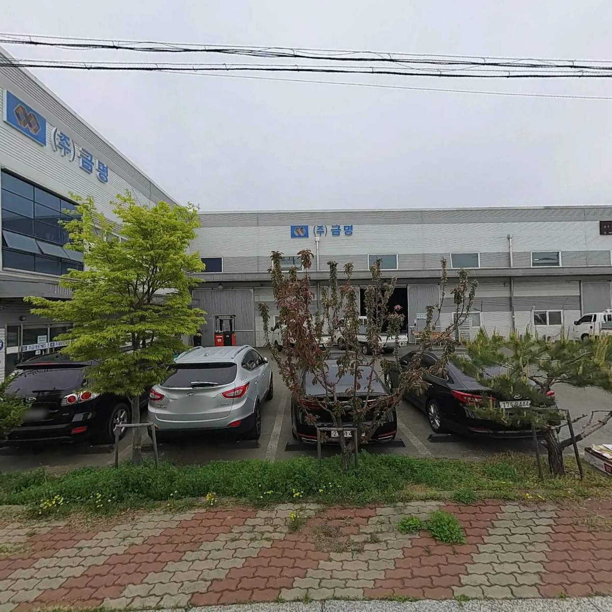 （주）트리플