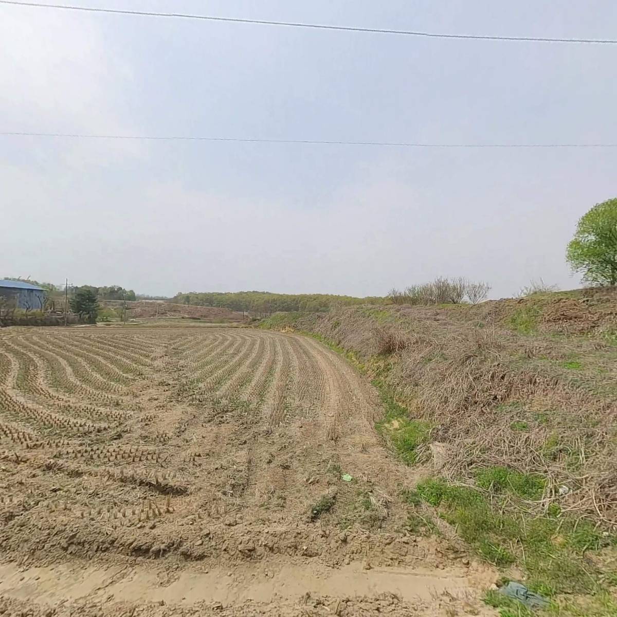 제일화학공업(주)