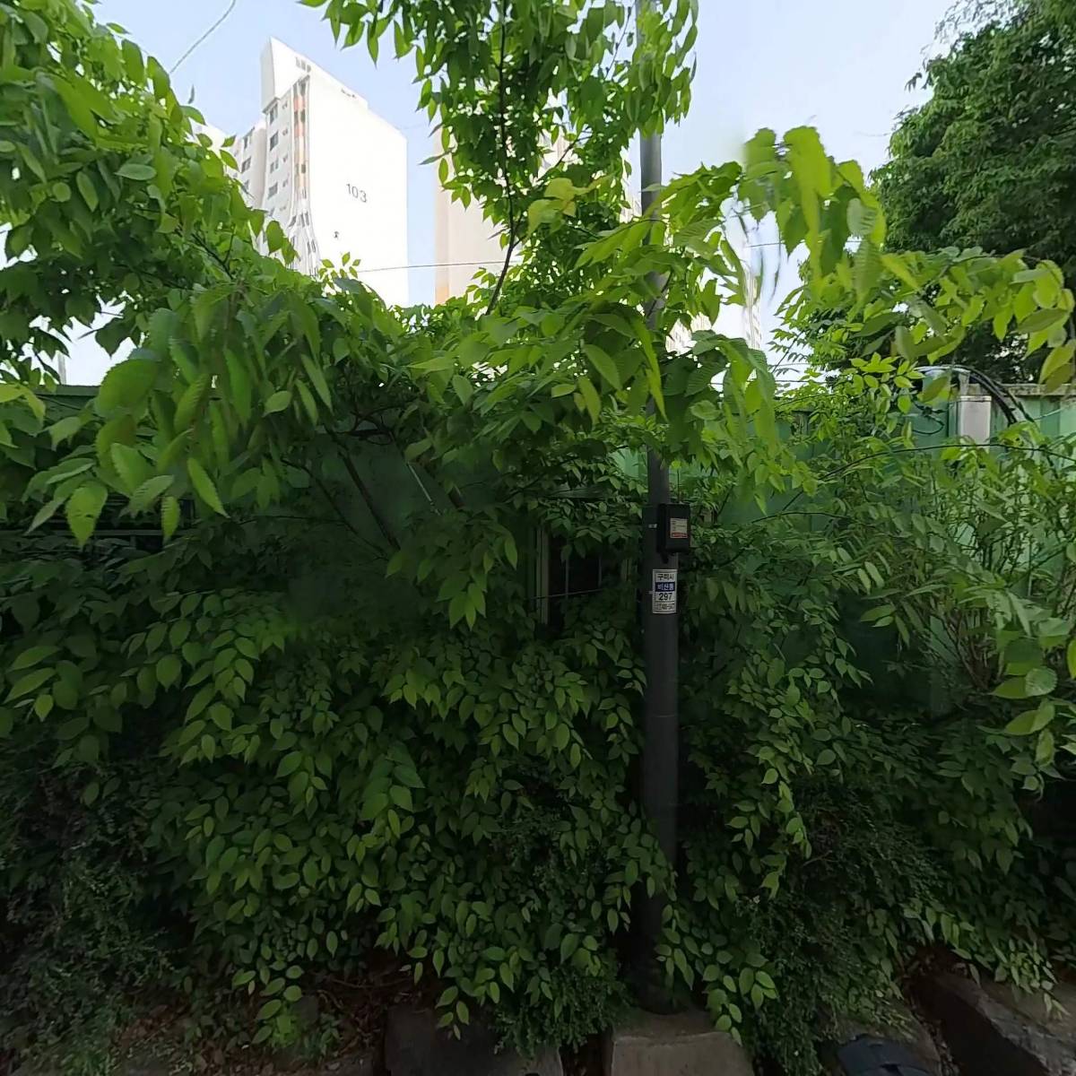 벧엘탁구클럽_3