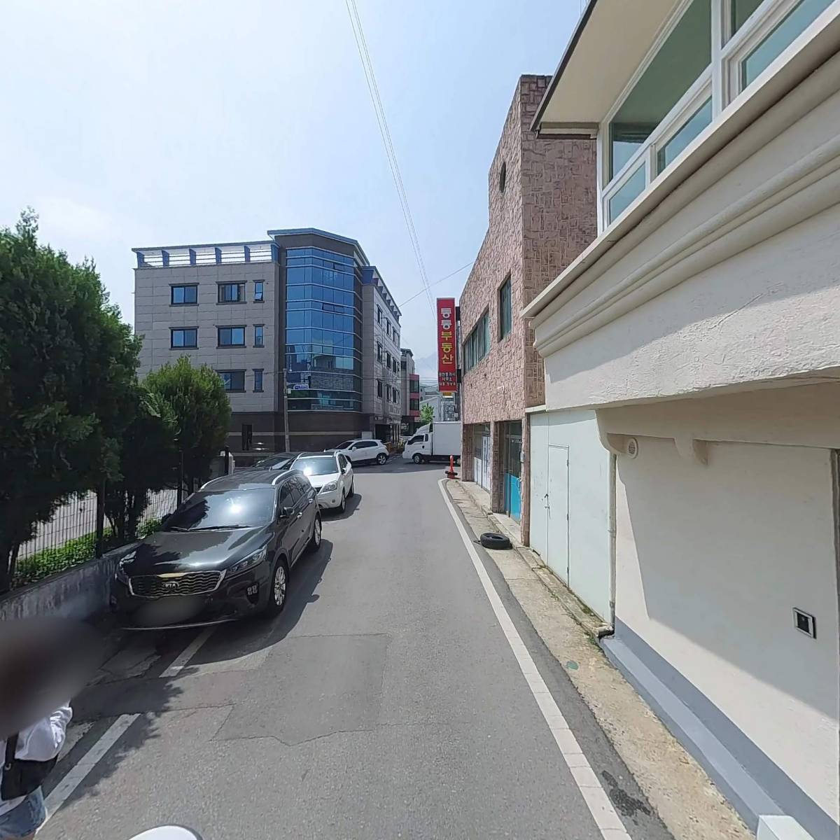 페트리코_2