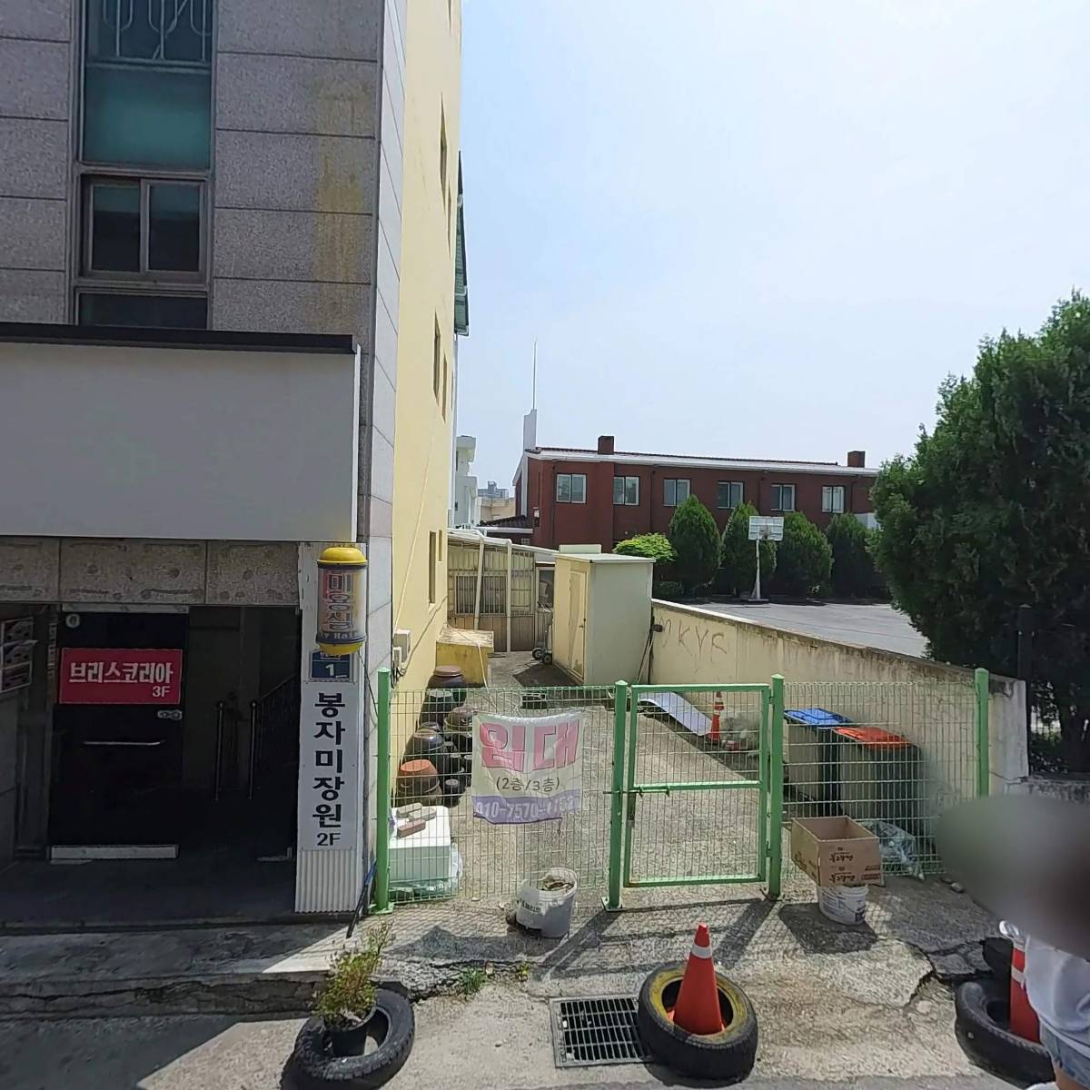 페트리코