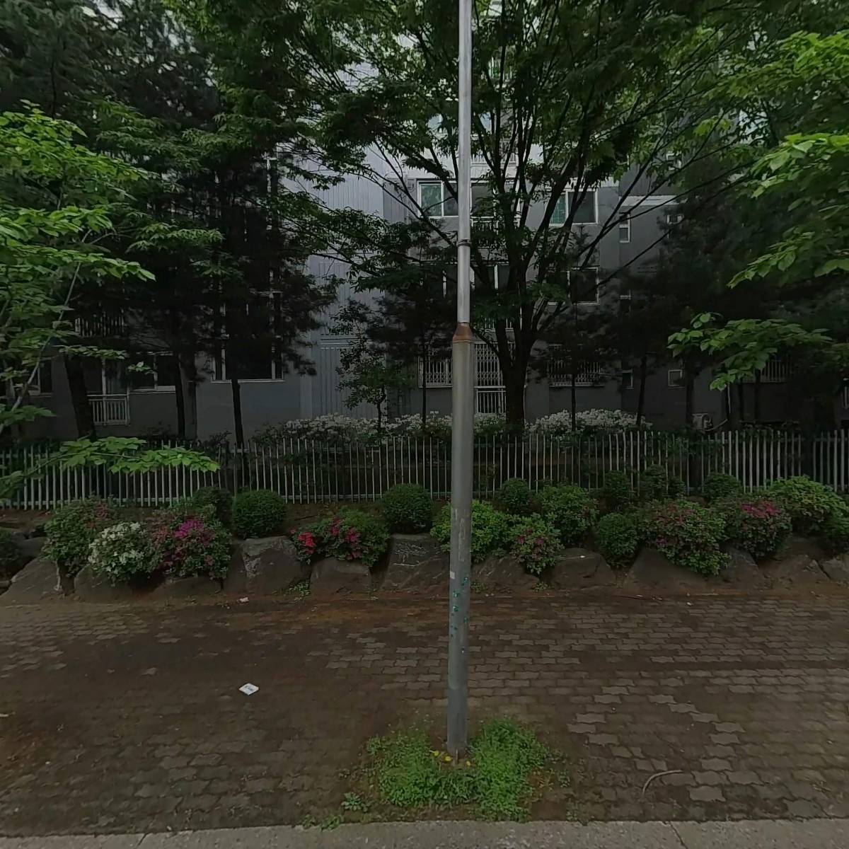구평동 사진관