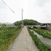 명주별빛곤충농장_2