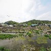 명주별빛곤충농장_3