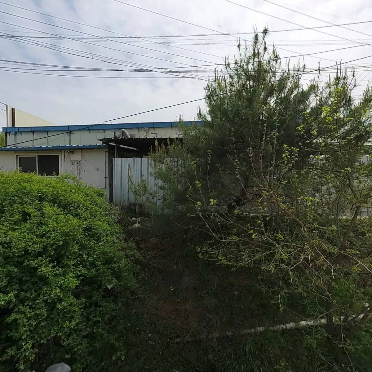 몰개골기사님한식집밥뷔페