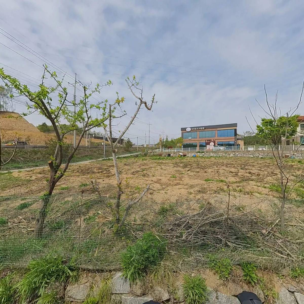 몰개골기사님한식집밥뷔페_3