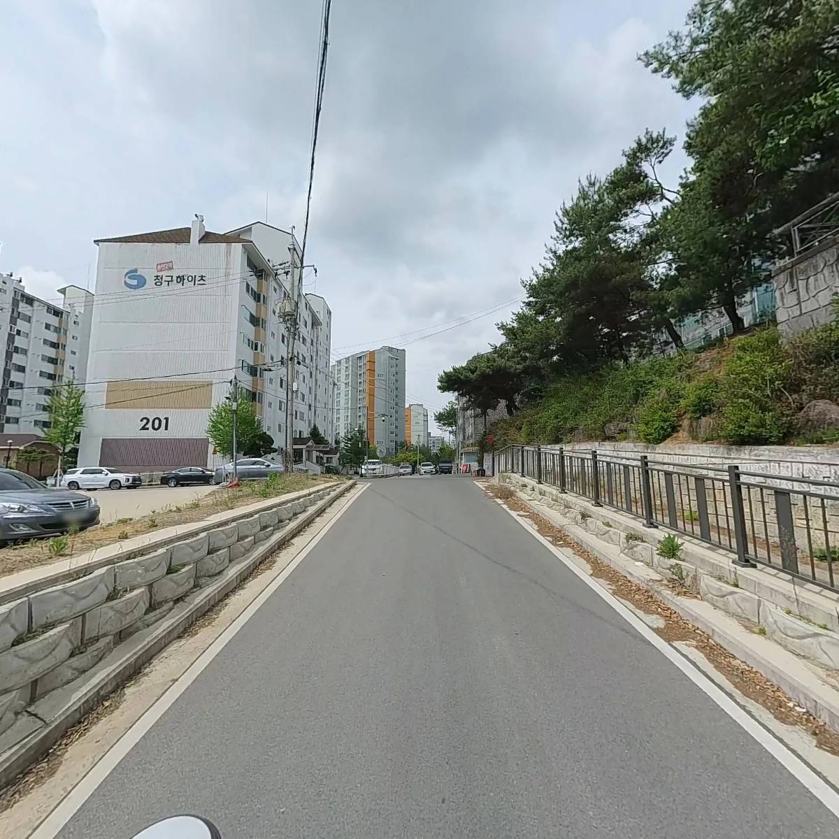빛의화원_2