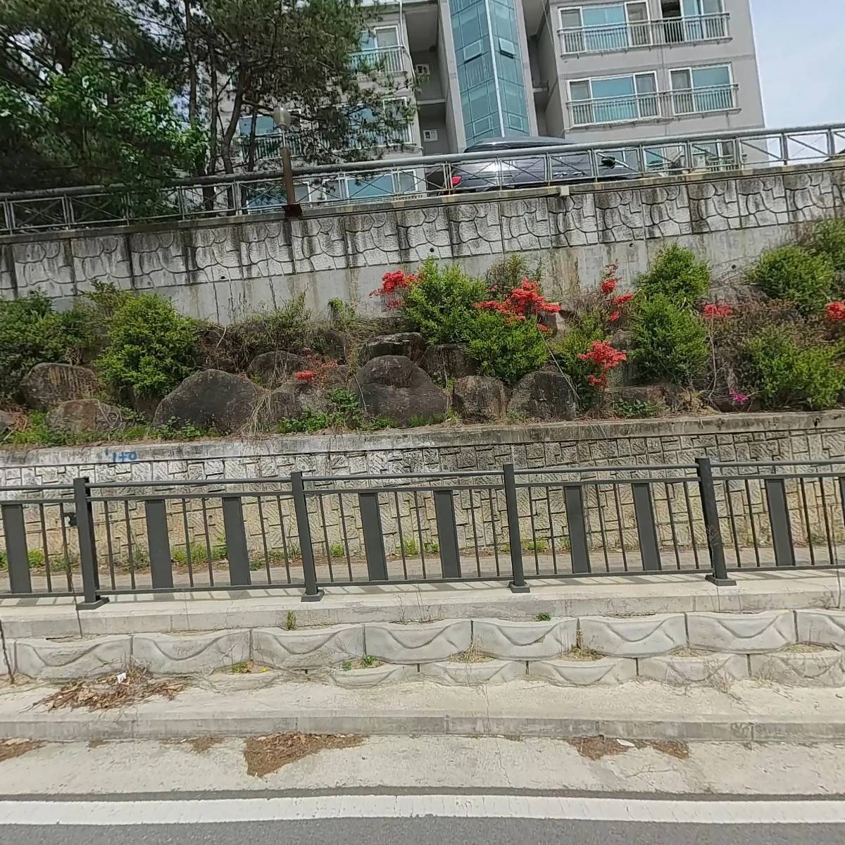 빛의화원_3