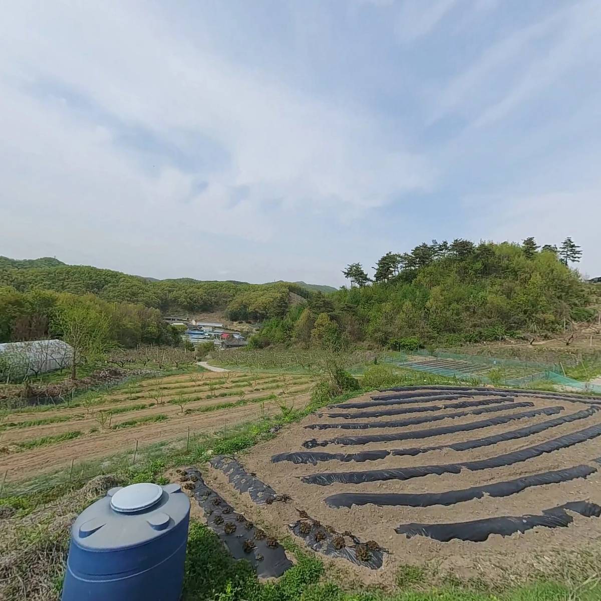 주식회사 더다솔