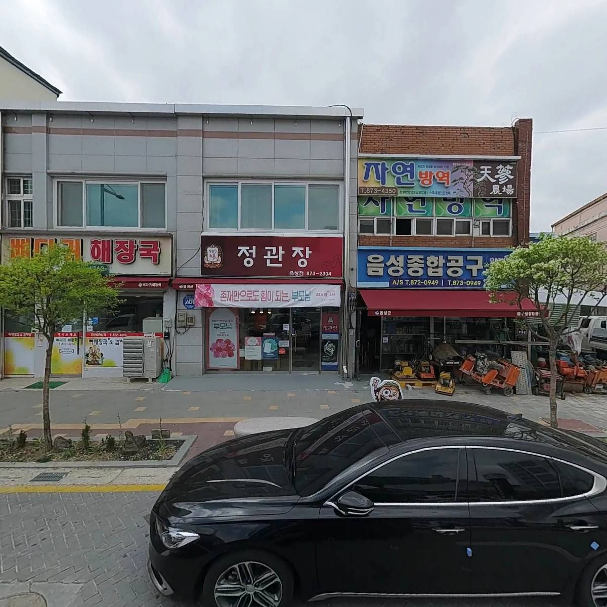 라이브영스타