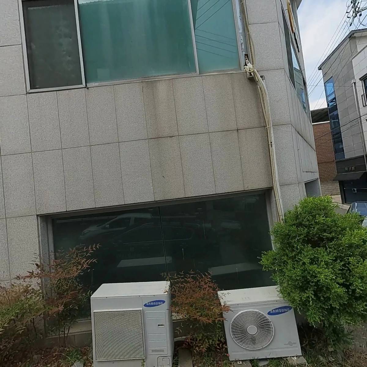 피노나무병원주식회사