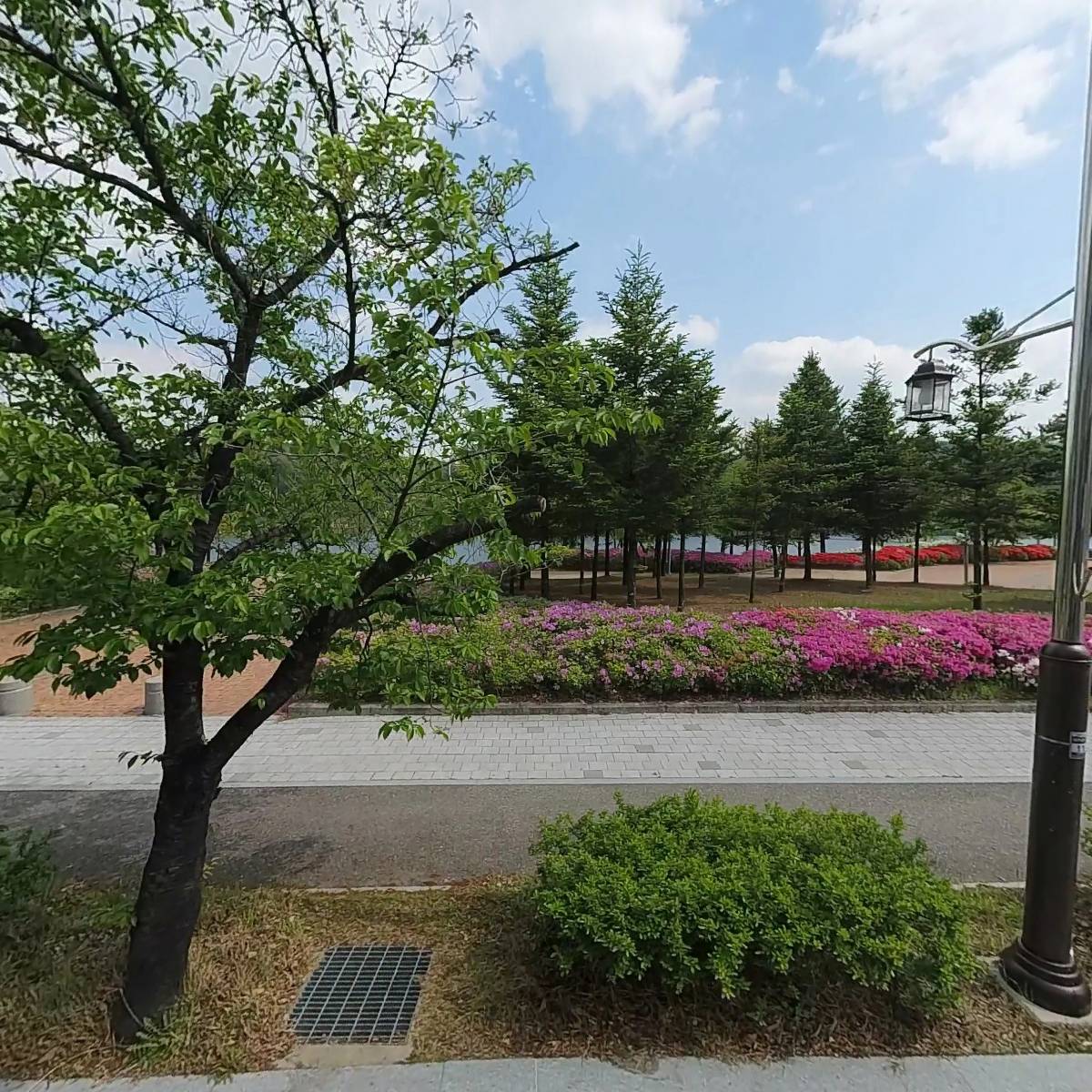 안동교차로