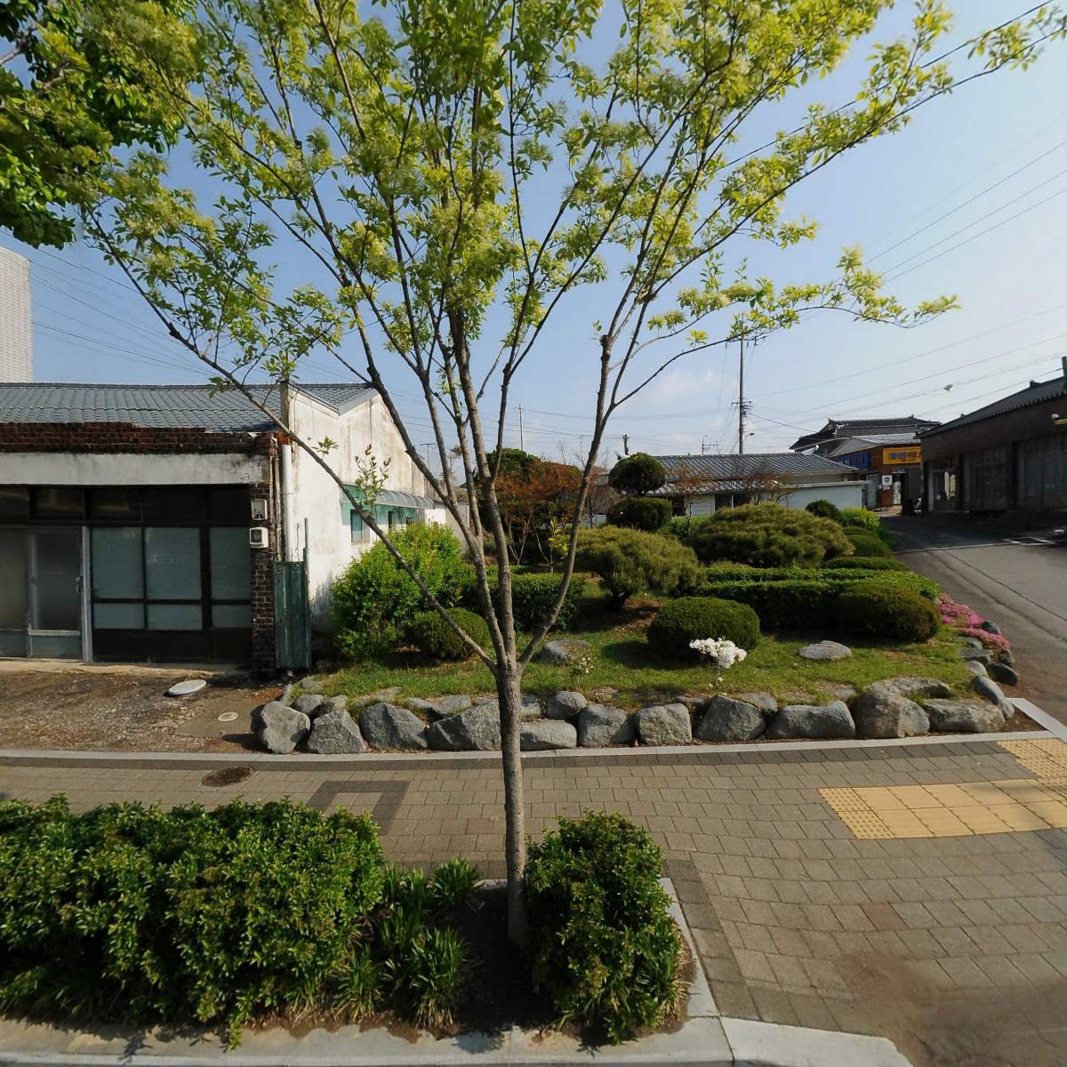 화산반점