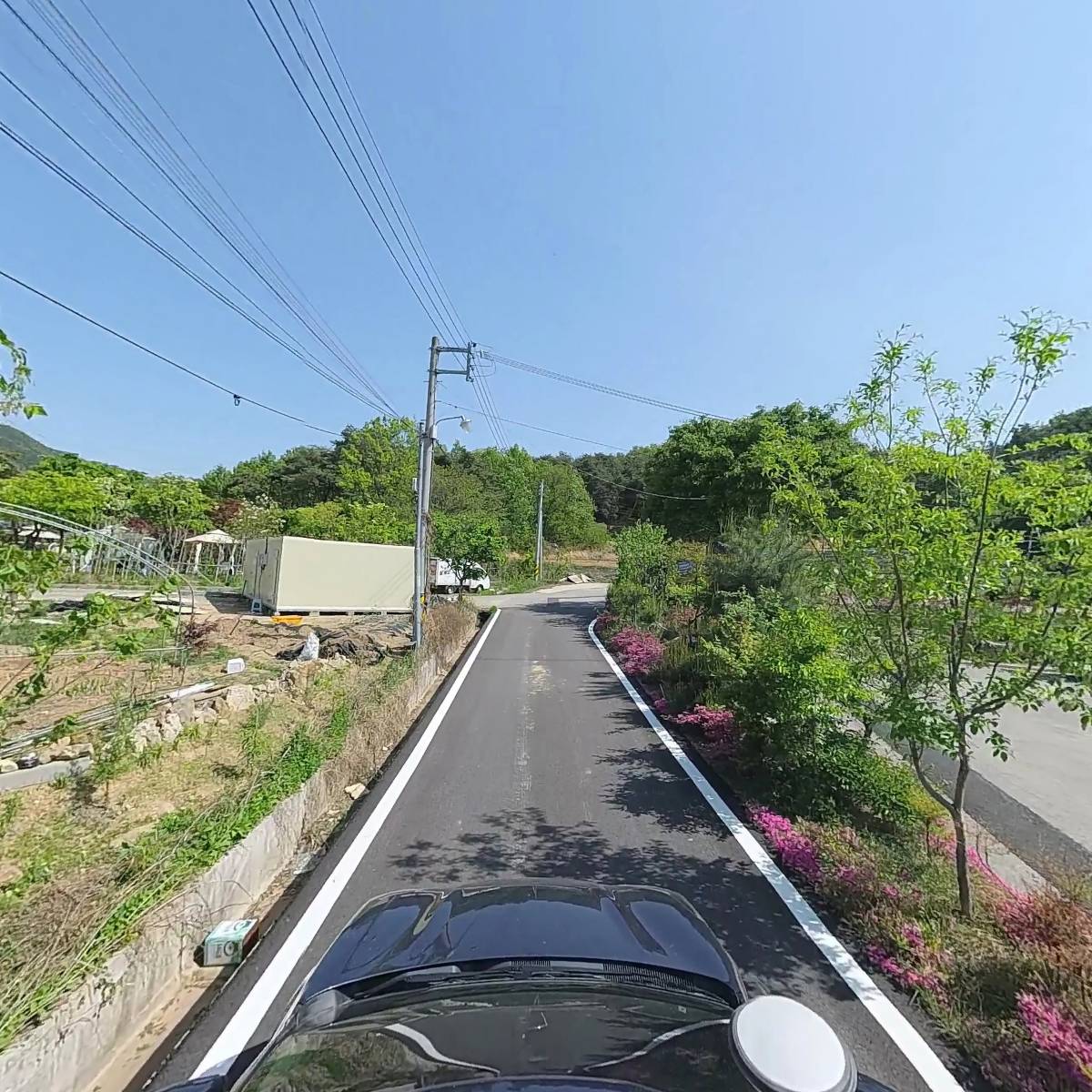 루텔라_4