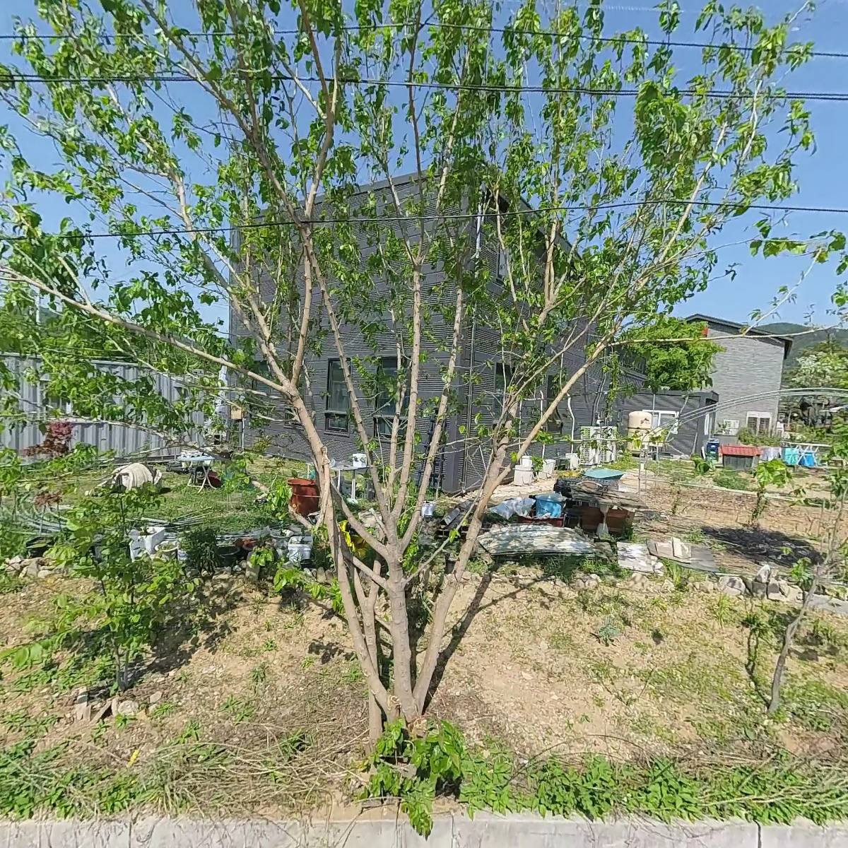 루텔라_3