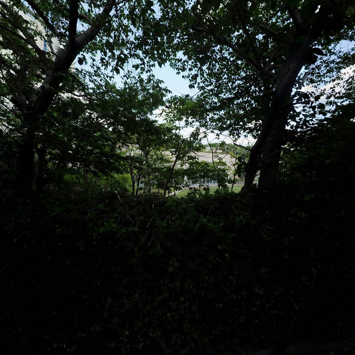 경주전복해물뚝배기