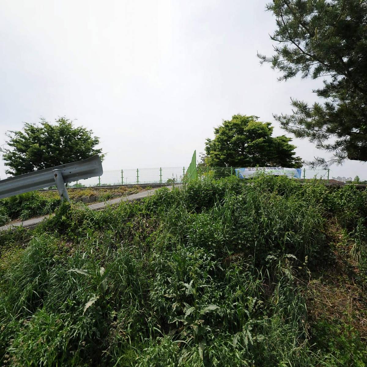 영천참품한우