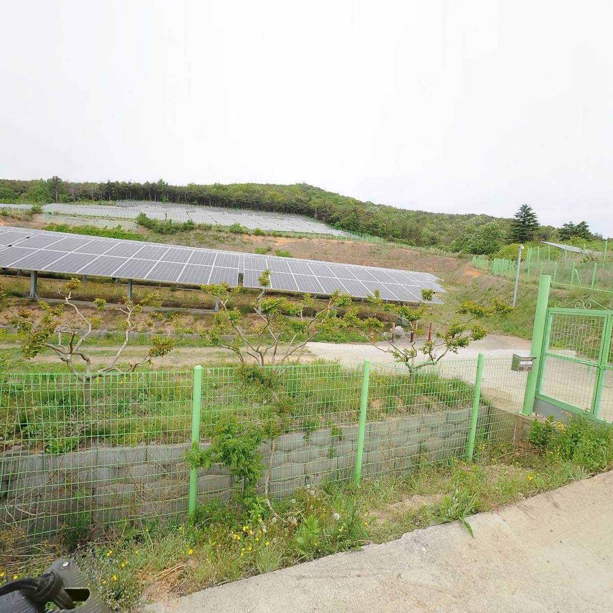 (주)대광태양광