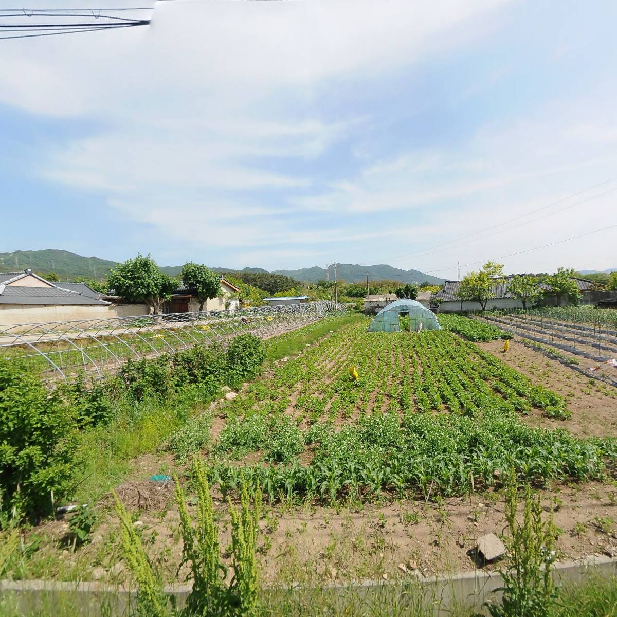 요요히_3