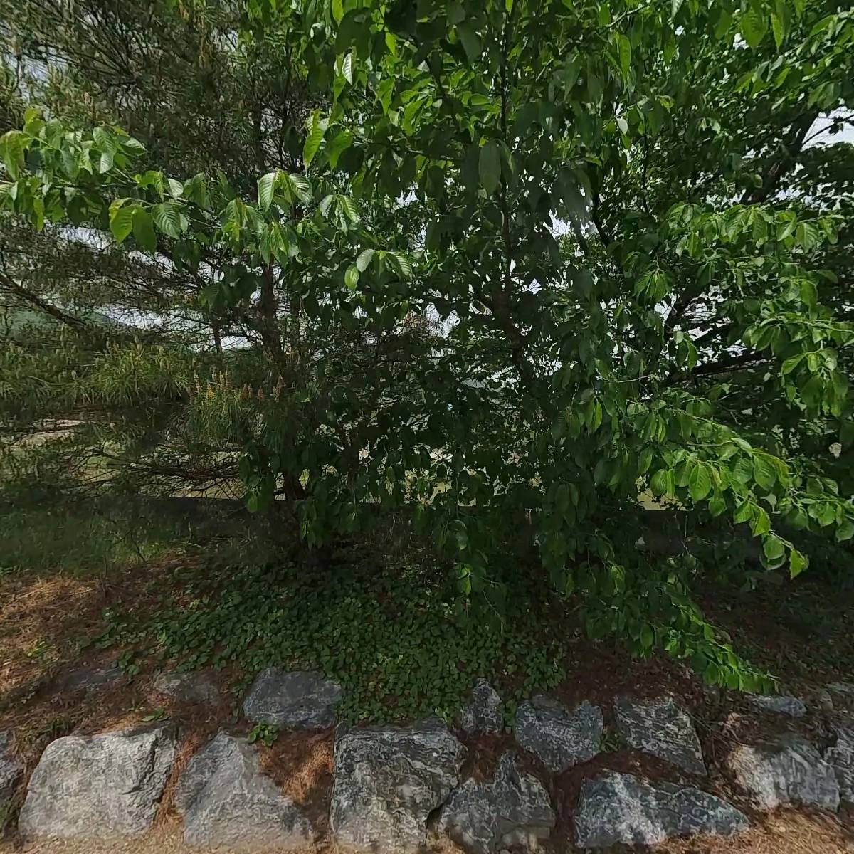 광주반씨장절공휘석평종친회_3