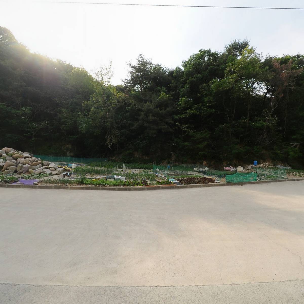 물든_3
