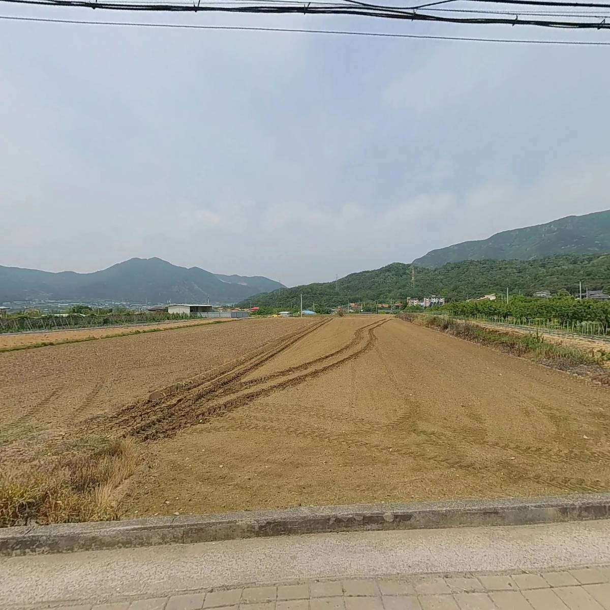 조선의옛날통닭(북삼점)