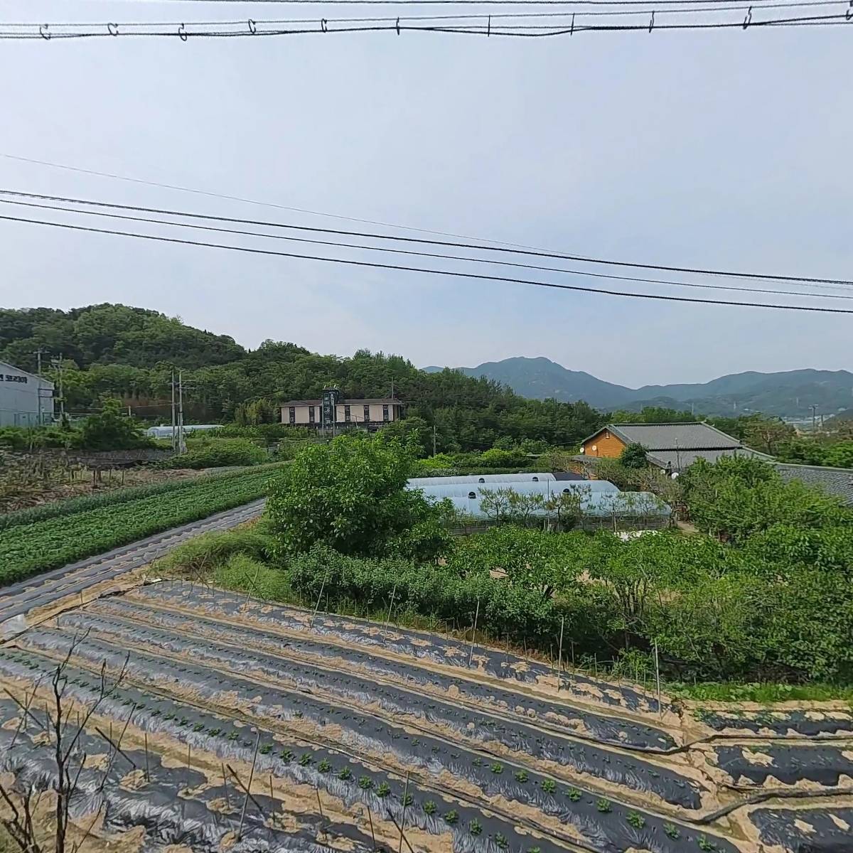 보림_3