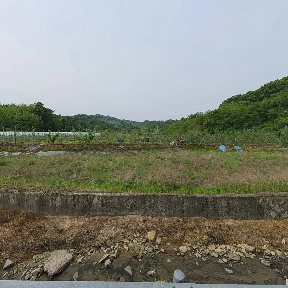 안동김씨죽헌공파성하응봉소종회_3